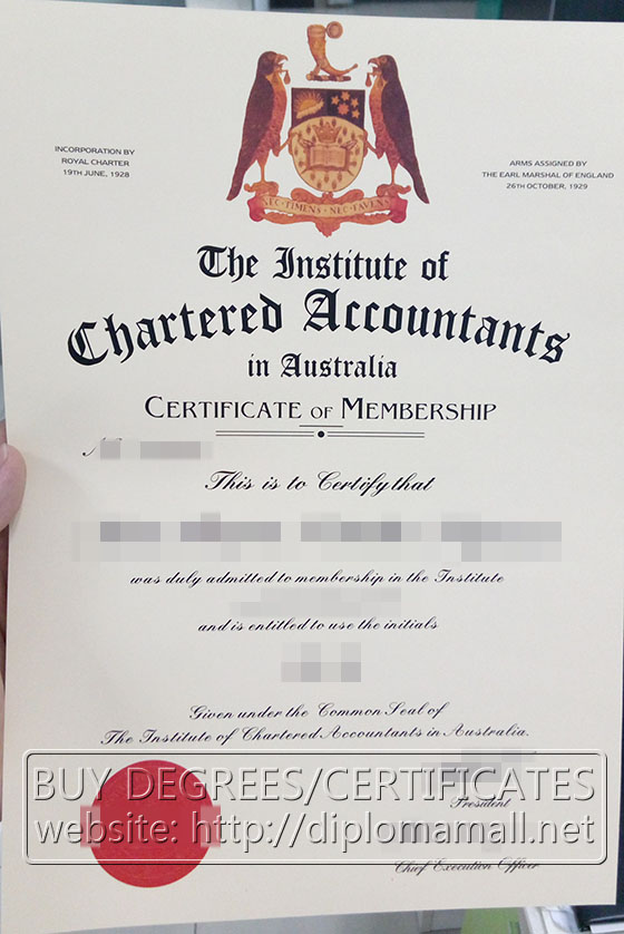 Chartered Accountants certificate 