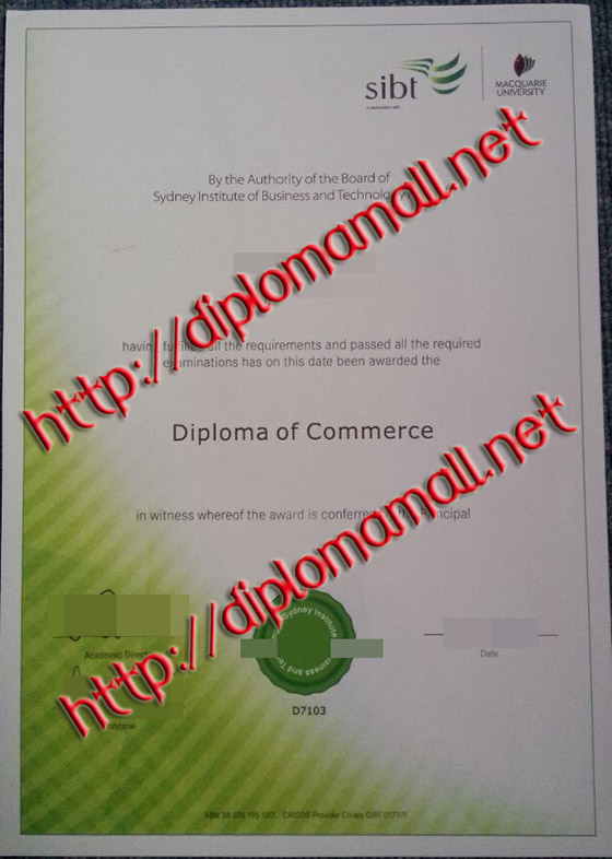 SIBT diploma