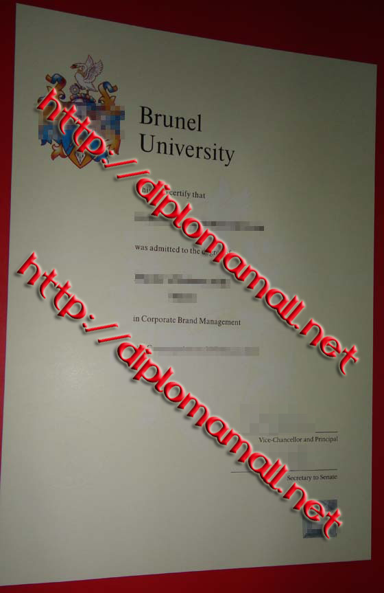 Brunel University degree