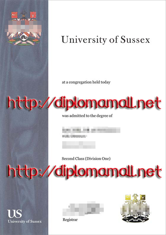 University of Sussex degree