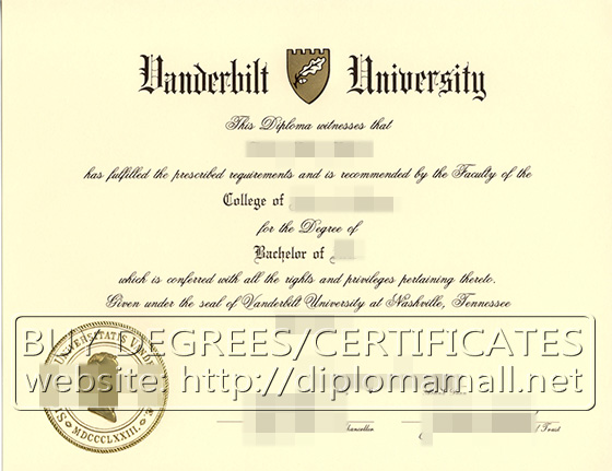 degree from Vanderbilt University