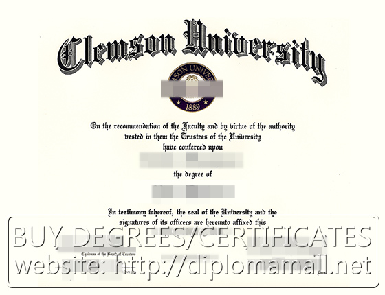 degree from Clemson University