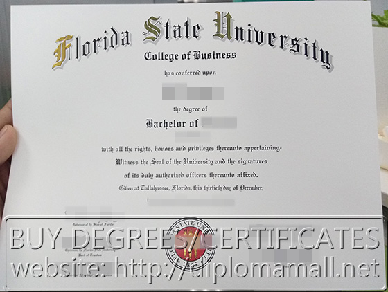 Florida state university diploma