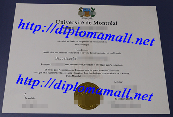 bachelor degree form the Université de Moncton