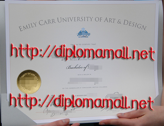 Emily Carr University of Arts & Design degree