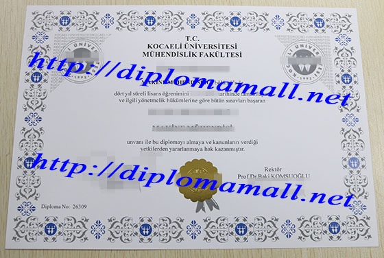 Mühendislik Fakültesi - TC Kocaeli Üniversitesi degree
