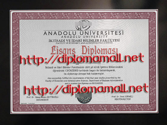 Anadolu University diploma