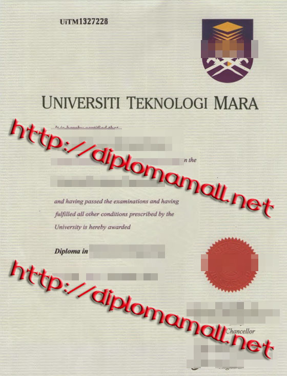 Universiti Teknologi MARA(UiTM) degree