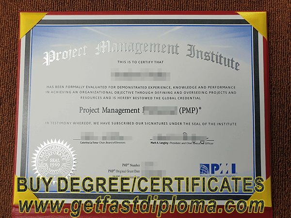 pmp certificate at camtel work in projet director