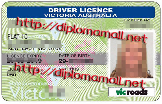 Australian D rive License