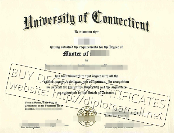 degree from the University of Connecticut