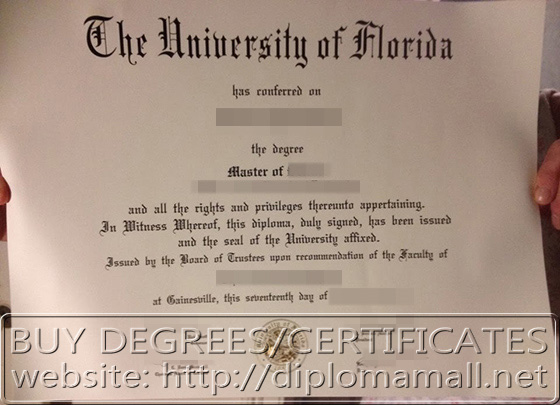 University of Florida master degree