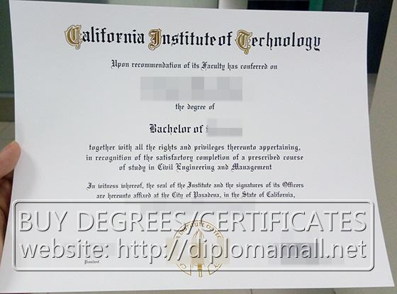 CIT fake degree