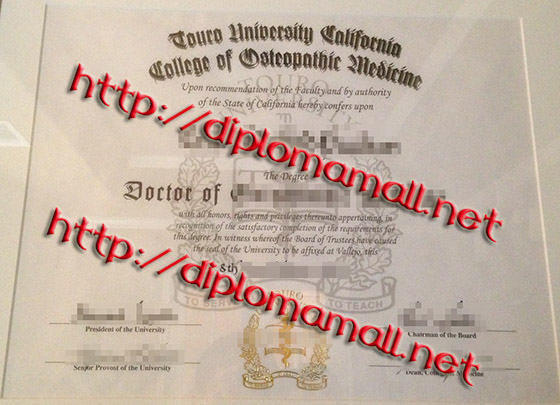 Touro University California   degree of Touro
