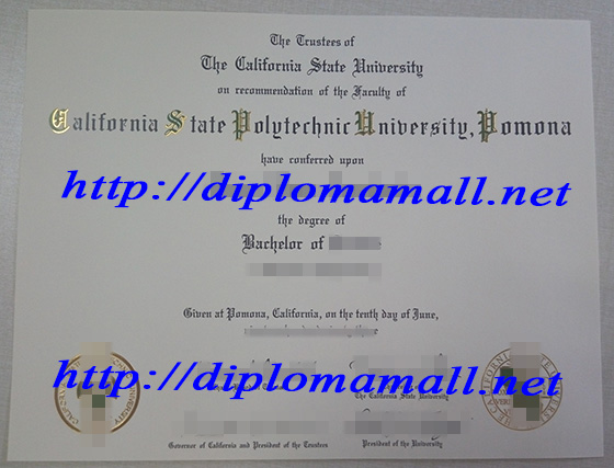 California State Polytechnic University, Pomona degree diploma