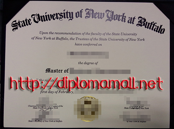 State University of New York at Buffalo diploma