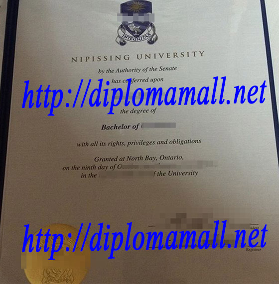 bachelor degree from Nipissing University
