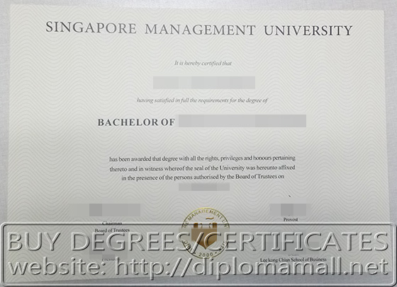 degree from Signapore Management University