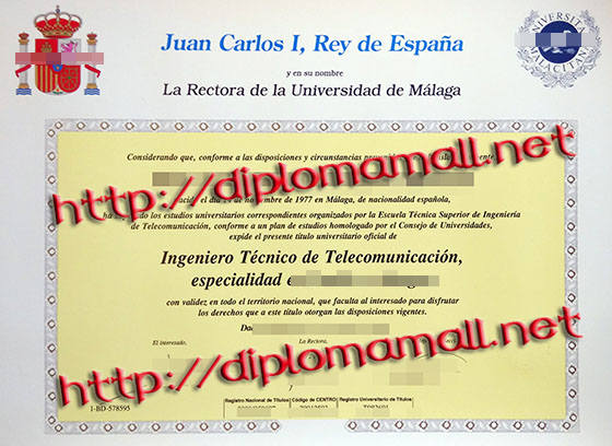 University of Malaga degree